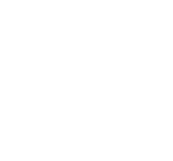 Management Team