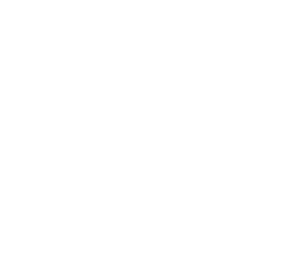 Cyber Security