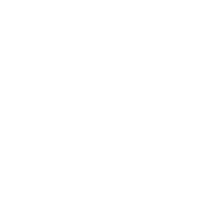 Company Data